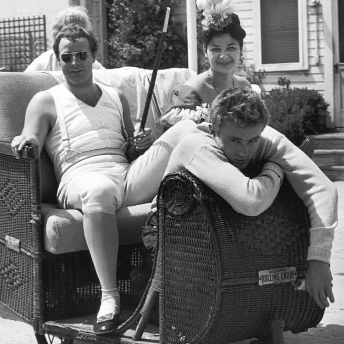 brandobook's tweet image. With a hanger-on while filming Désirée (1954)
MarlonBrandoBook.com