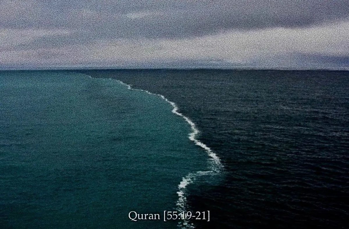 Al__Quraan's tweet photo. “He released the two seas; meeting side by side. Between them is a barrier; neither of them can transgress. Then which is it, of the favors of your Lord, that you deny?”

— Al Qur’aan [55:19-21] https://t.co/0L5UAxSzyG