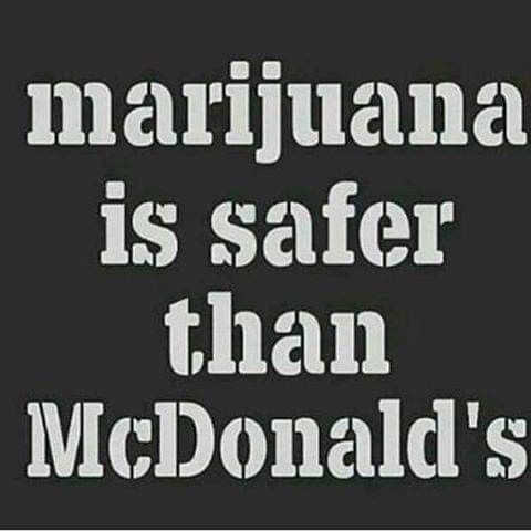 Stoner Barbie (@stonersvilla) on Twitter photo 
