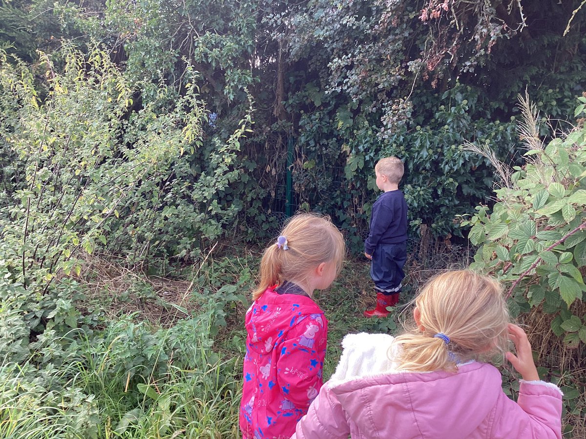 CamblesSchool's tweet photo. Team Pandas loved exploring today in Forest Schools. They worked as a team and showed amazing listening skills. #CambelsforthEYFS https://t.co/naRZo6wU6o