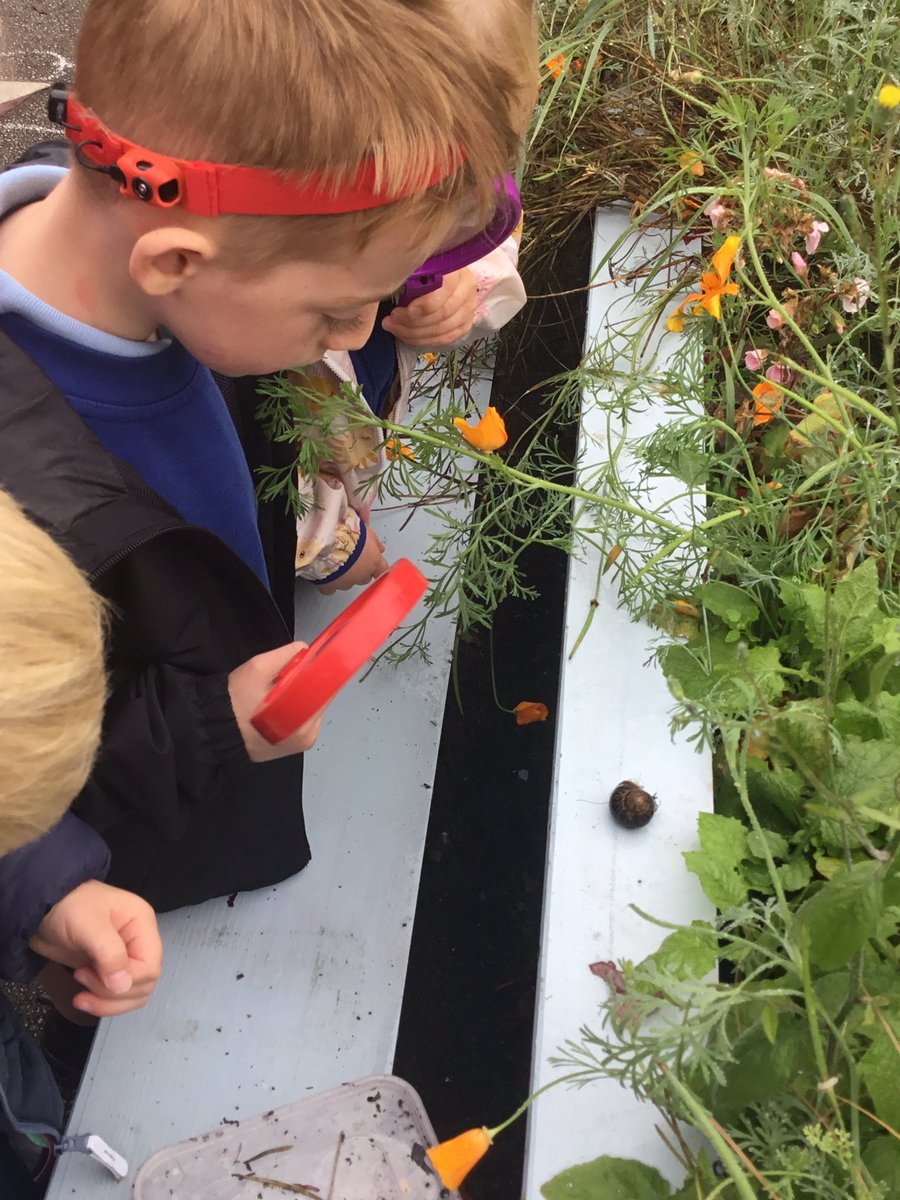 Christletonpri's tweet image. We went on a mini-beast hunt this week and have enjoyed lots of mini-beast fun activities too! #cpseyfs #cpsscience