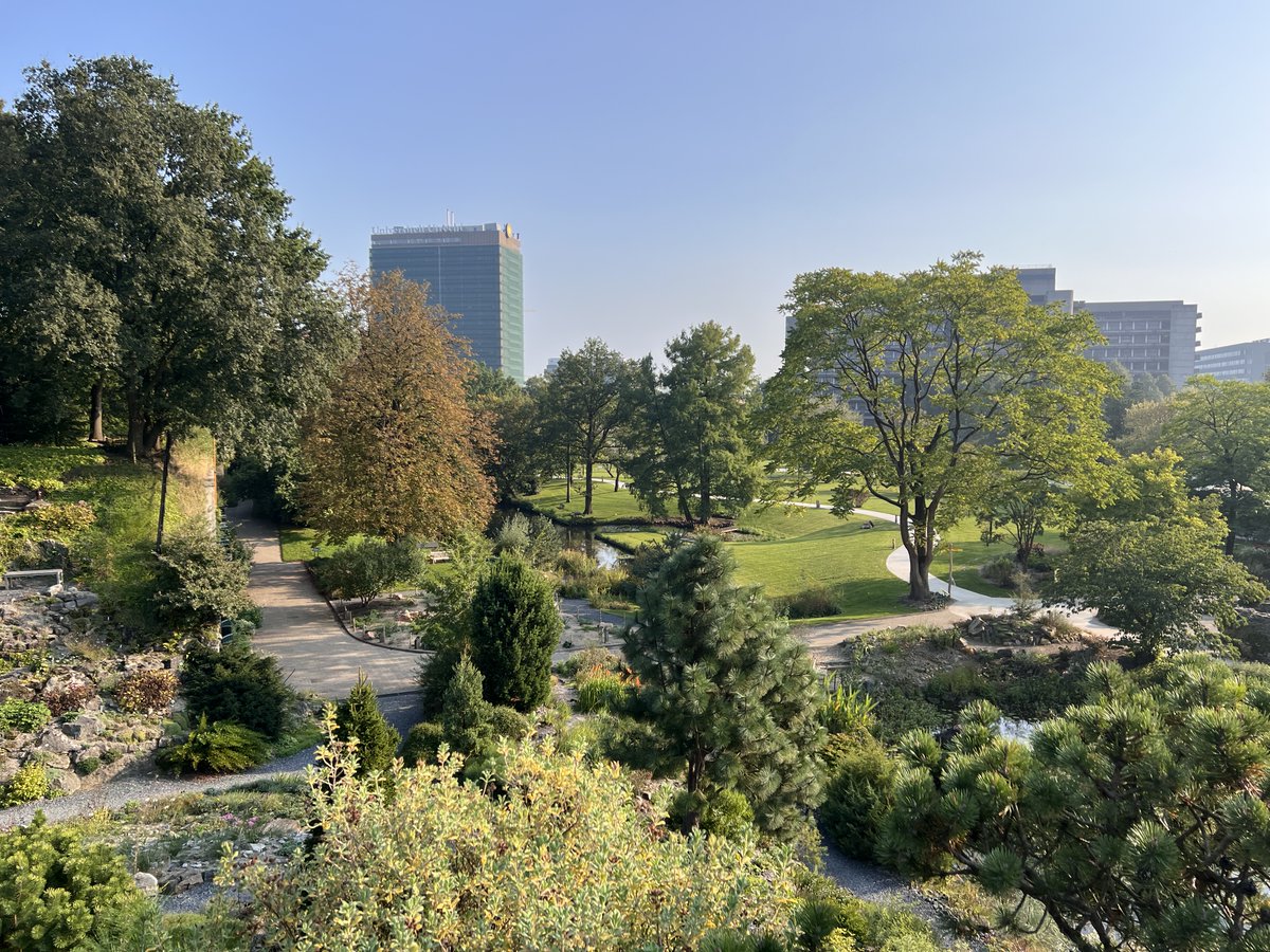 Georg Lorenz tweet media