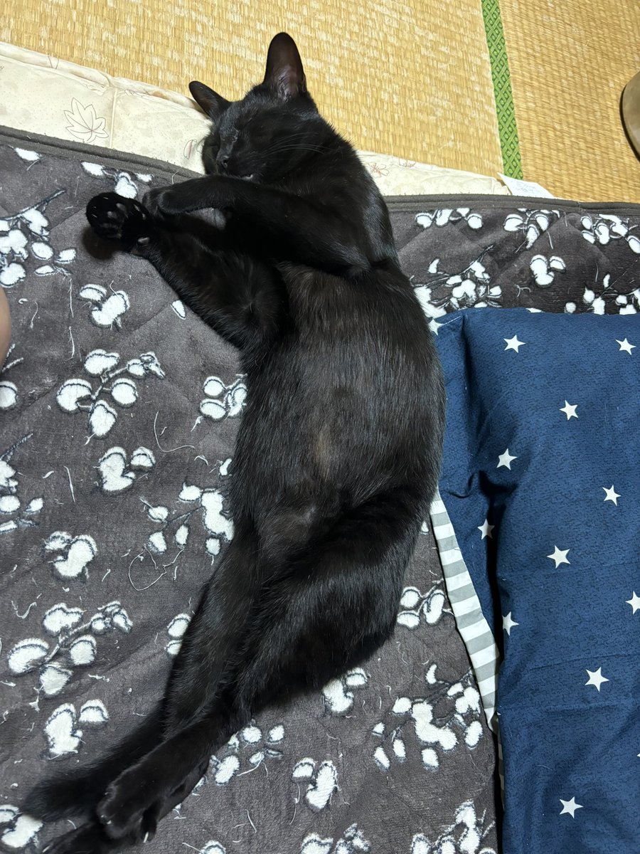teion_cyunen's tweet photo. 虚無。
こんなことしてみるw
#wtmf https://t.co/xGoBBQYVDt