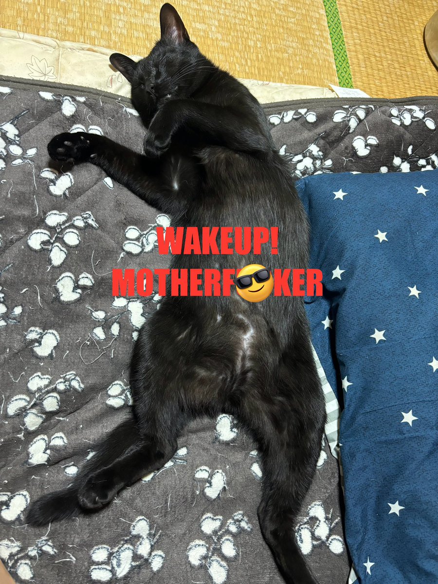 teion_cyunen's tweet photo. 虚無。
こんなことしてみるw
#wtmf https://t.co/xGoBBQYVDt