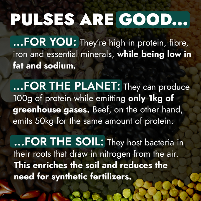 UNBiodiversity's tweet photo. High in protein and fibre, low in fat and sodium: it's no secret pulses are good for you.

But did you know they’re also good for the planet? 🌏

👉 https://t.co/RaO9MVtl0t

Via @IFAD https://t.co/Y1JvuCgnrl