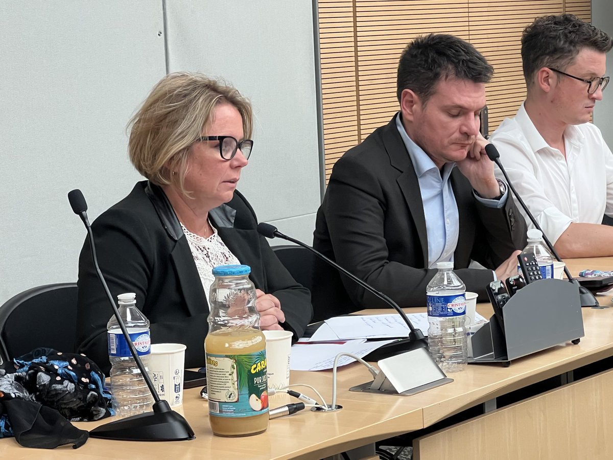 senateursCRCE's tweet photo. La 5e République sur le grill lors des journées parlementaires avec Benjamin Morel, maître de conf. en droit public. RIC ? Réforme du mode de scrutin ? Une nouvelle étape constitutionnelle s’impose ! https://t.co/oGwDMspeNd