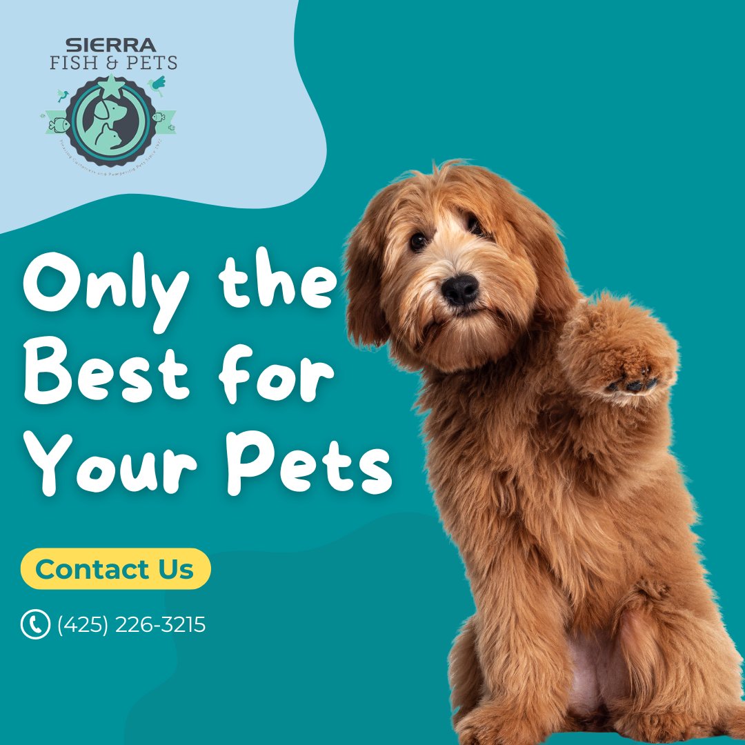 sierraspets's tweet image. Only the Best for Your Pets 🐾
Explore top brands like Acana, Blue Buffalo, Orijen, and more. 
Your pets deserve premium nutrition!
.
.
.
#BestForPets #PremiumPetCare #TopPetBrands #Acana #BlueBuffalo #Orijen #HealthyPets