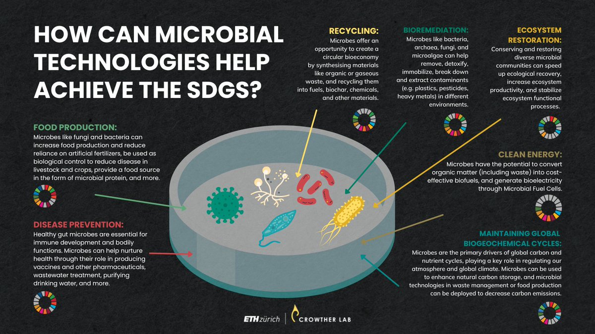 I join with <a href="/CrowtherLab/">Crowther Lab</a> <a href="/bkoskella/">Britt Koskella</a> and many others to argue that we critically need microbes and microbial technologies to realize the #SDGs: cell.com/cell/fulltext/…
#Cell <a href="/CellCellPress/">Cell</a> <a href="/UCBerkeley/">UC Berkeley</a> @UCBerkeleySPH