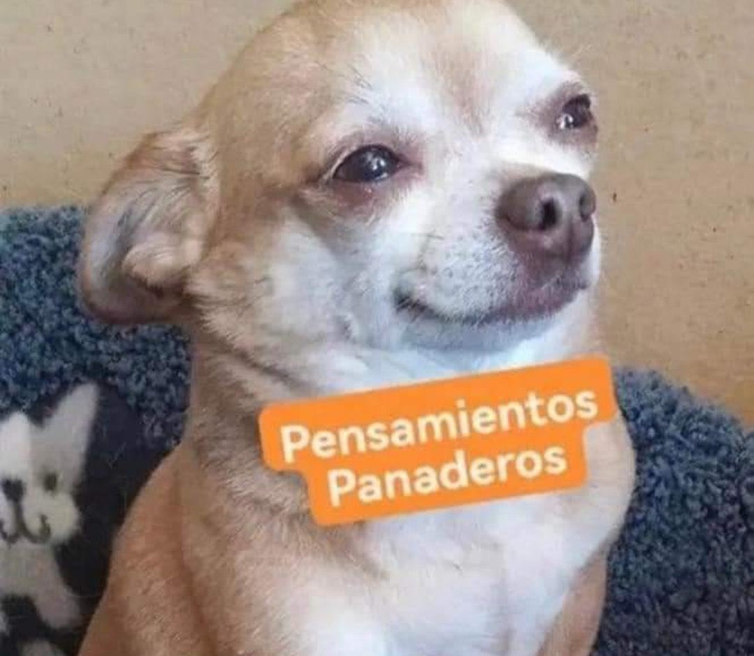 No importa que caigan 2 gotas o granice tanto como recién, automáticamente yo: