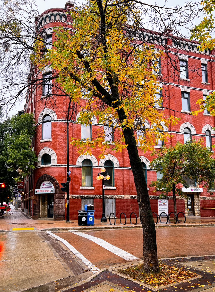 Call colours are starting in The Exchange District.
#winnipeg #Fall2024 #photooftheday