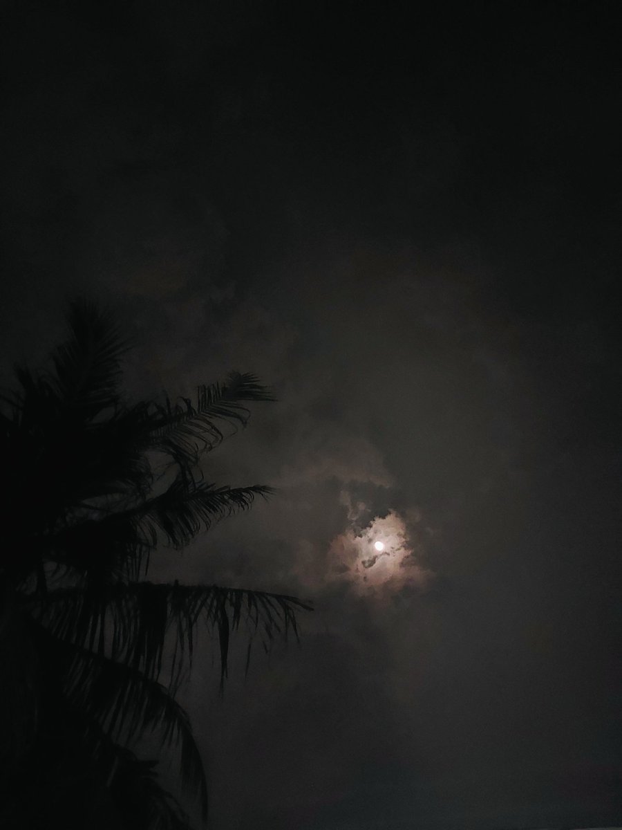 The moon is beautiful isn't it?