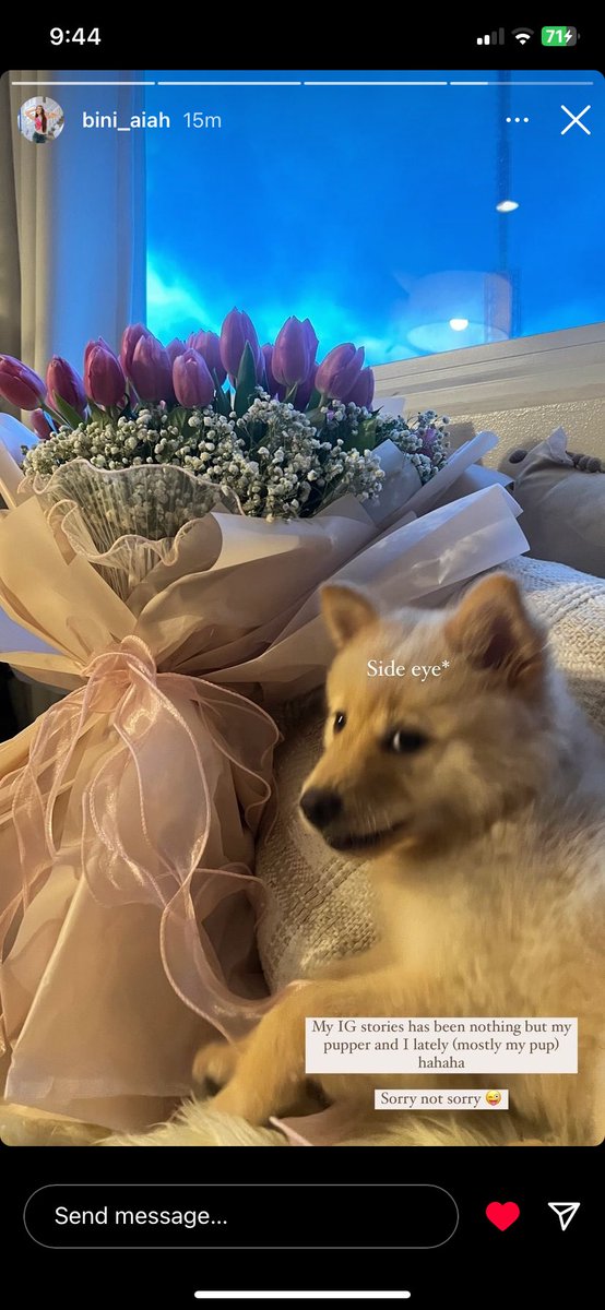 Pao 💙 tweet media