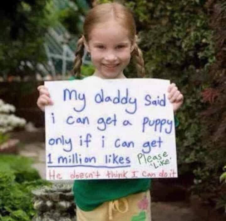 Can get your 1 million likes?🥺🥺🙏🙏🙏
