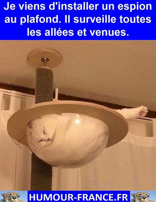 text alternatif