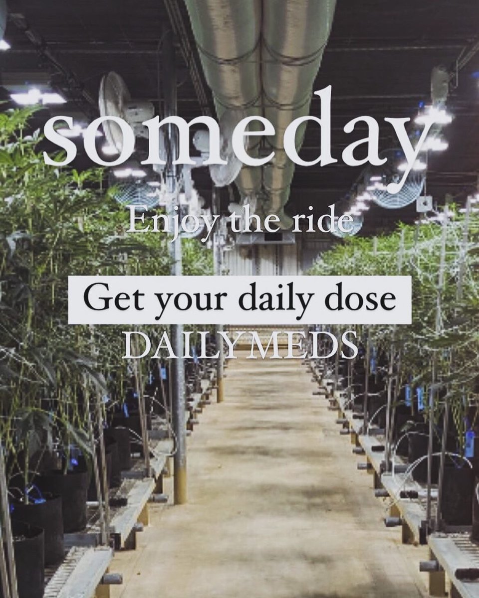 DAILYMEDS tweet media