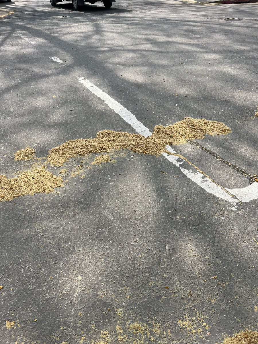 volvieron ellas, tiembla Montevideo, lloran mis ojos, aumenta la demanda de loratadina
