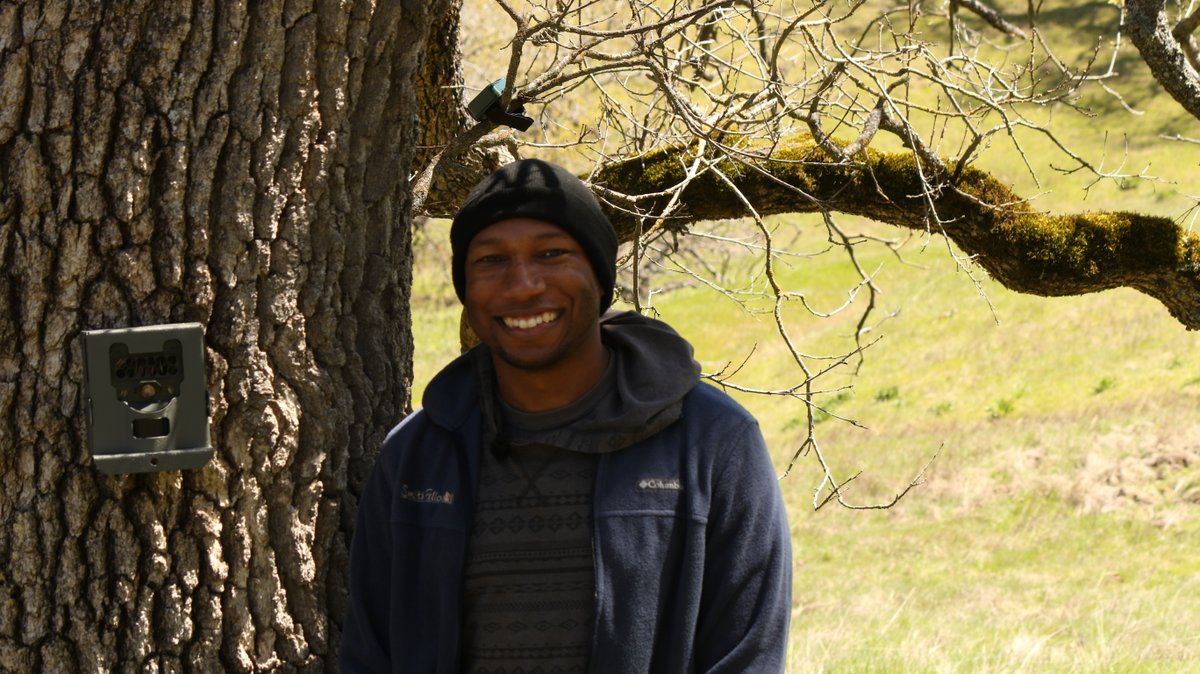 Hi! My name is Kendall Calhoun (<a href="/kenleecalhoun/">Kendall Calhoun</a>) and I'll be sharing a bit about my work today for today's #BlackMammalogists takeover! 
I'm currently a postdoc <a href="/ucdavis/">UC Davis</a> and <a href="/UCLA/">UCLA</a>  studying the effects of fire on mammal species across California! 🔥🐻🦌🦇