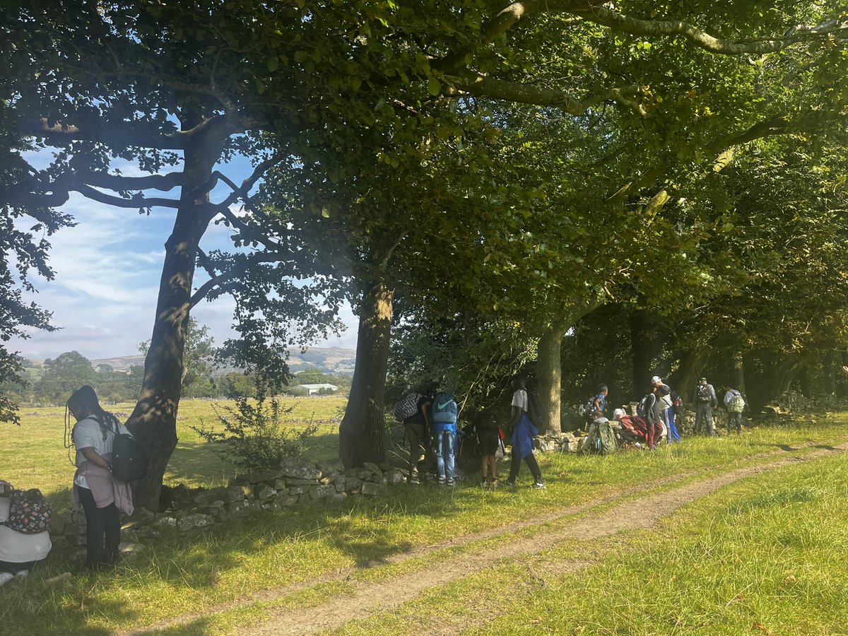 Miss Anderson tweet media