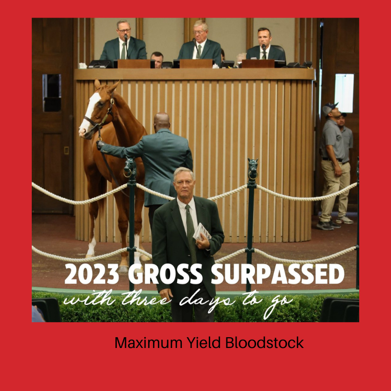 MaximumYield1's tweet photo. Exciting news from the Keeneland September Yearling Sale! Gross sales have already surpassed last year’s total, reaching $396M with three days left. Proud to be part of this thriving industry and the demand for top-quality bloodstock. #Keeneland #Bloodstock #Thoroughbred https://t.co/BvZrpJl9CA