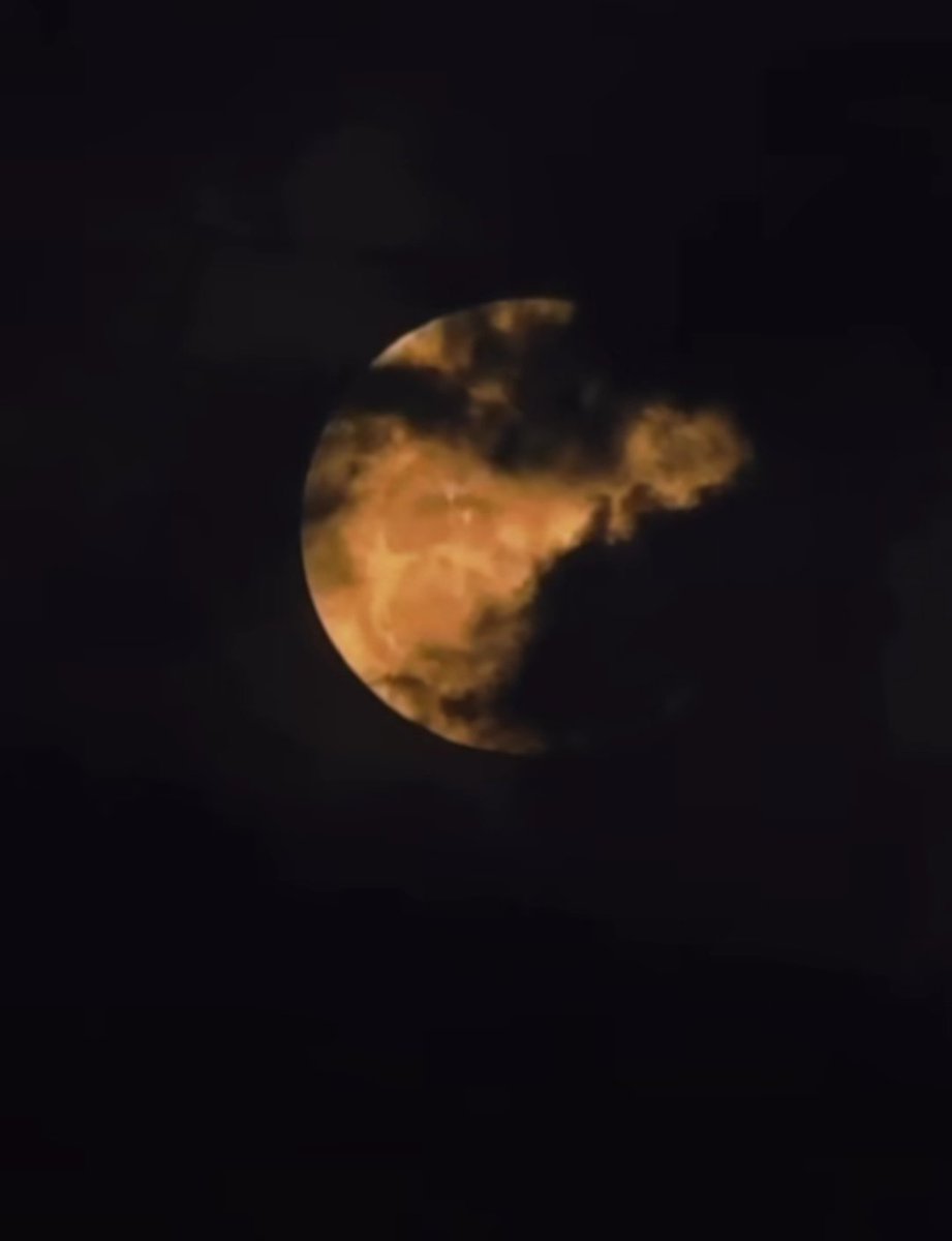 اون عکسش که موهاش رو صورتش بود :)