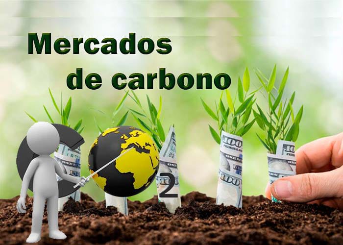 Sabías que la reforma al COA está por definirse en 30 días. Ecuador podría ingresar al mercado global de carbono valorado en $84.000 millones, beneficiándose los servicios ambientales de plantaciones forestales con captura de CO2 a través de certificados de reducción de emisiones