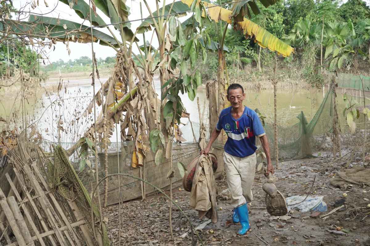 UNDPVietNam's tweet photo. 10 days after #TyphoonYagi struck #YenBai province, families remain displaced, crops destroyed, and roads severely damaged. 
While emergency relief helped, communities urgently need home and infrastructure repairs, short-term jobs, and livelihood restoration to fully recover. https://t.co/hljKefyfye