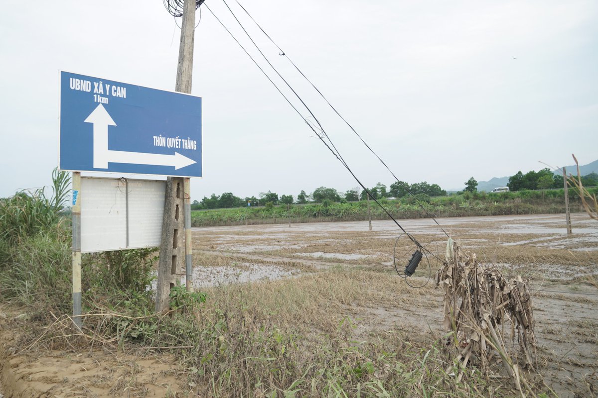 UNDPVietNam's tweet photo. 10 days after #TyphoonYagi struck #YenBai province, families remain displaced, crops destroyed, and roads severely damaged. 
While emergency relief helped, communities urgently need home and infrastructure repairs, short-term jobs, and livelihood restoration to fully recover. https://t.co/hljKefyfye