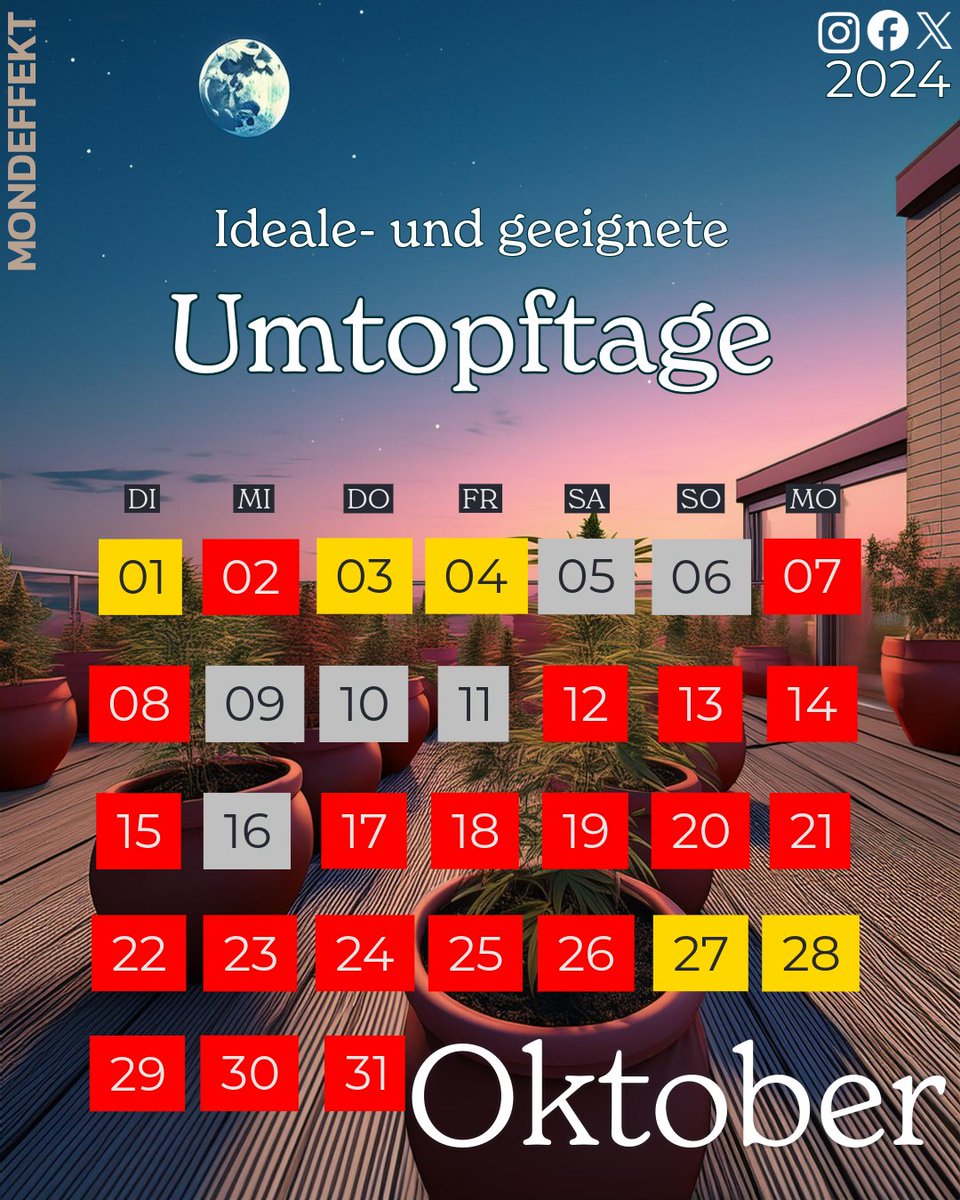 mondeffekt's tweet photo. #Mondkalender #Oktober #2024
Gold = Ideal
Silber = Geeignet
rot = Ungeeignet
Schwarz = Neutral

#Aussaattage
#Umtopftage
#Düngetage
#Gießtage

#Livingsoil
#Eigenanbau
#420
#Kalender
#Mond
#faktisch
#Vorschau
#Monatsvorschau
#todo
#gießen
#düngen
#ernten
#echtzeit https://t.co/YWNqBdUQ95