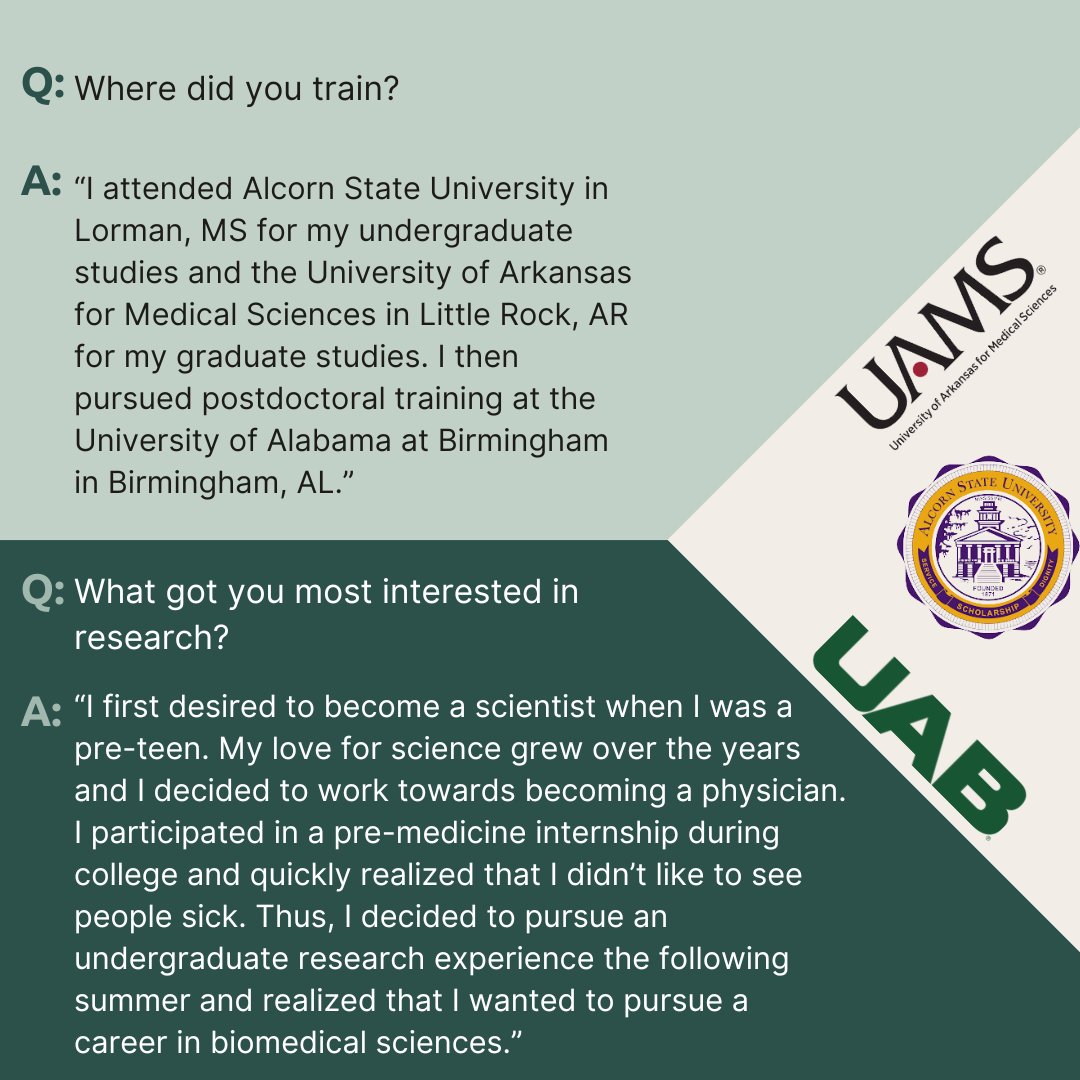 KUH PRIME tweet media