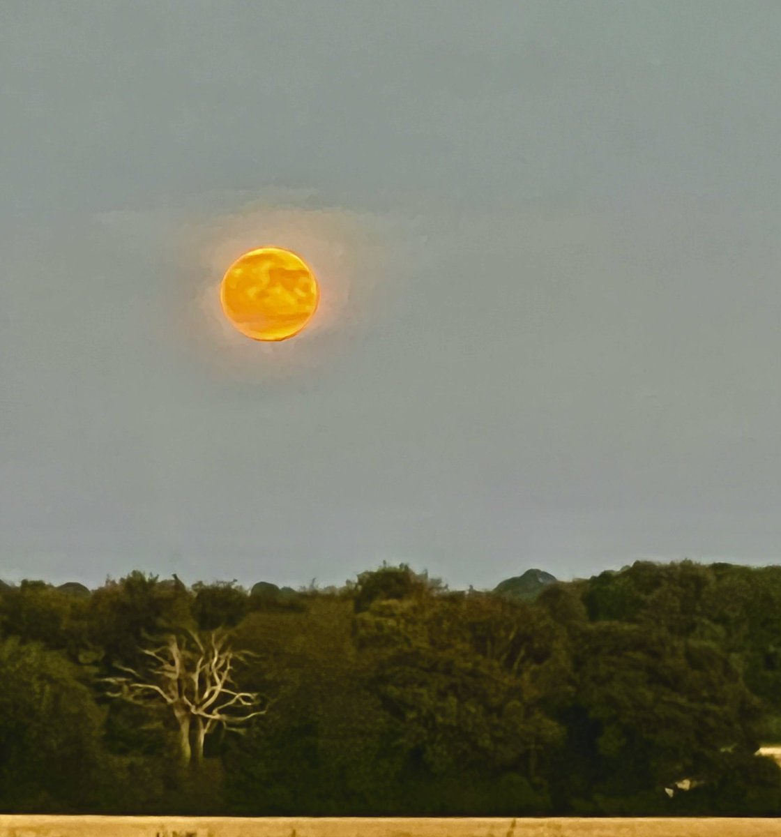 magalex's tweet photo. Supermoon Tuesday #throwback #supermoon #Dorset https://t.co/vhHK5vsQyL