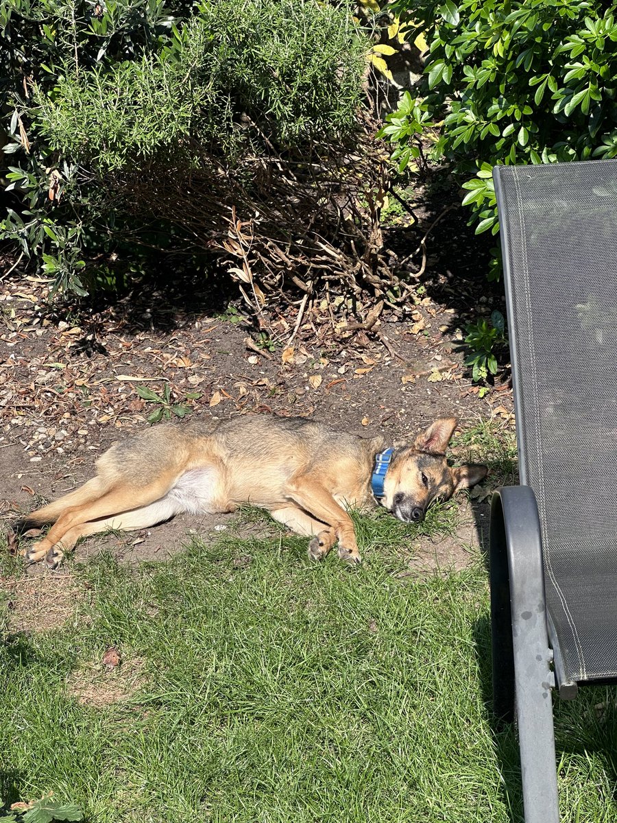 Rory Cellan-Jones tweet media