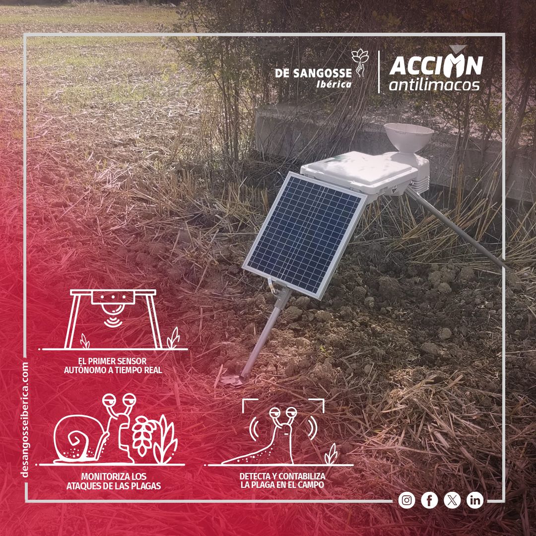 La colza y los cereales de invierno son vulnerables a los daños de caracoles y babosas durante su nascencia. Para proteger tus cultivos, hemos desarrollado LIMACAPT, un sensor autónomo en tiempo real para detectar y contabilizar el nivel de plaga de caracol y babosa en campo