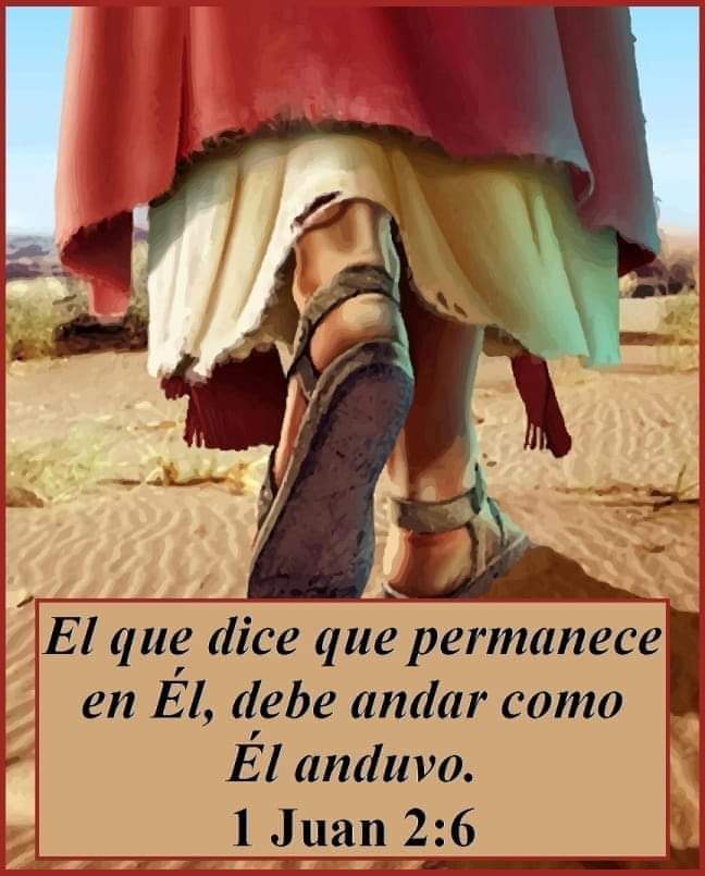 feburflo's tweet photo. Un verdadero creyente anda y obece como ÉL anduvo. https://t.co/2eLC3PVjgI
