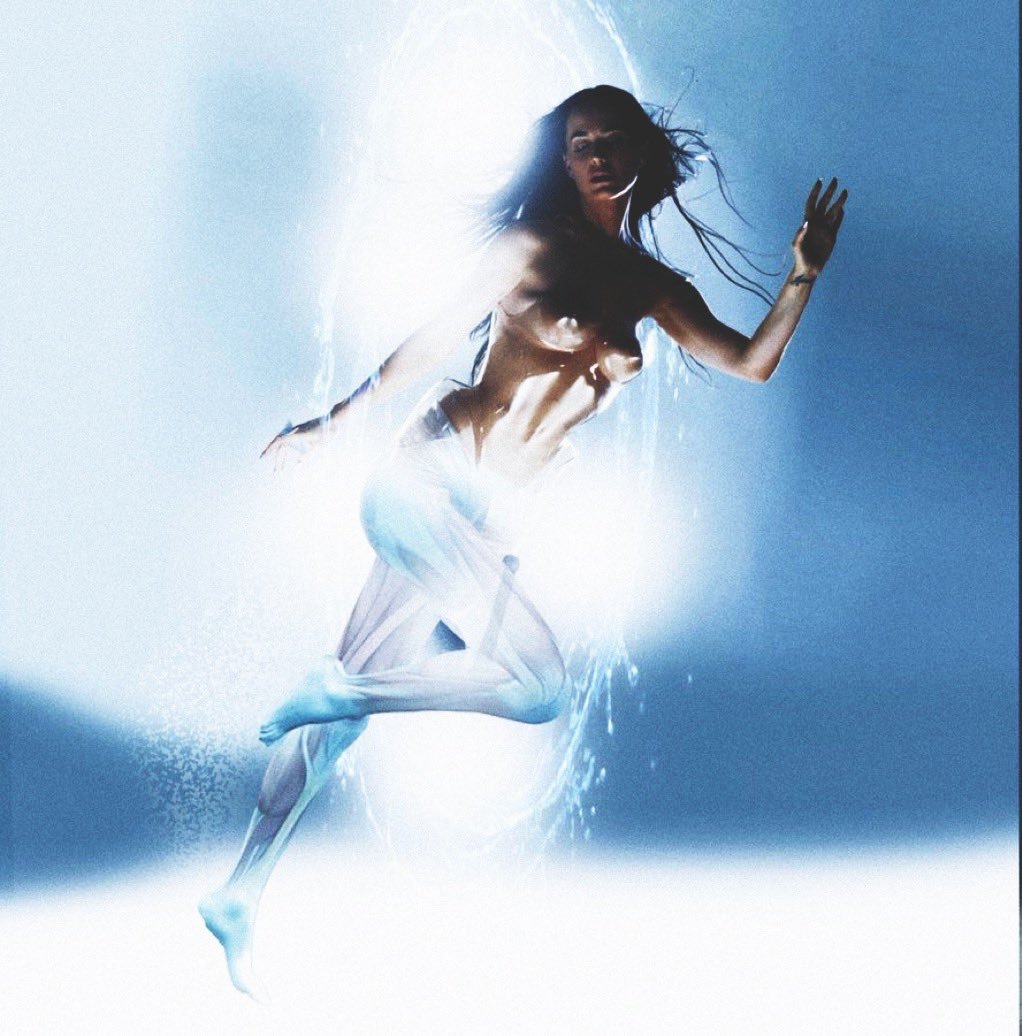 Lotus chihiro /kp6 tweet media