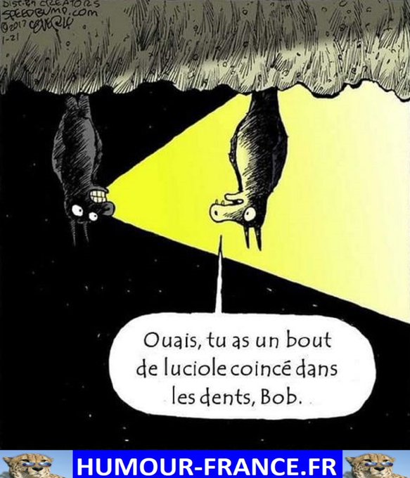 text alternatif