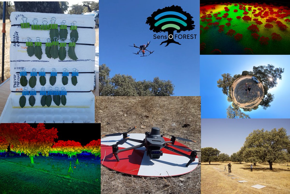 SpecLab CSIC (@speclab_csic) on Twitter photo Amazing first #SensOFOREST_FORWARDS campaign at Majadas de Tiétar <a href="/ICOS_Spain/">ICOS_Spain</a> <a href="/ICOS_RI/">ICOS RI</a> Ecosystem Research Station. Thanks to all the participants for a scientifically productive and personally enriching days
<a href="/CeamFundacion/">Fundación CEAM</a> <a href="/INIA_es/">INIA-CSIC</a> <a href="/SpecLab_CSIC/">SpecLab CSIC</a> <a href="/UniCologne/">Universität zu Köln</a> <a href="/JensBongartz/">Jens Bongartz</a> Amazing first #SensOFOREST_FORWARDS campaign at Majadas de Tiétar <a href="/ICOS_Spain/">ICOS_Spain</a> <a href="/ICOS_RI/">ICOS RI</a> Ecosystem Research Station. Thanks to all the participants for a scientifically productive and personally enriching days
<a href="/CeamFundacion/">Fundación CEAM</a> <a href="/INIA_es/">INIA-CSIC</a> <a href="/SpecLab_CSIC/">SpecLab CSIC</a> <a href="/UniCologne/">Universität zu Köln</a> <a href="/JensBongartz/">Jens Bongartz</a>