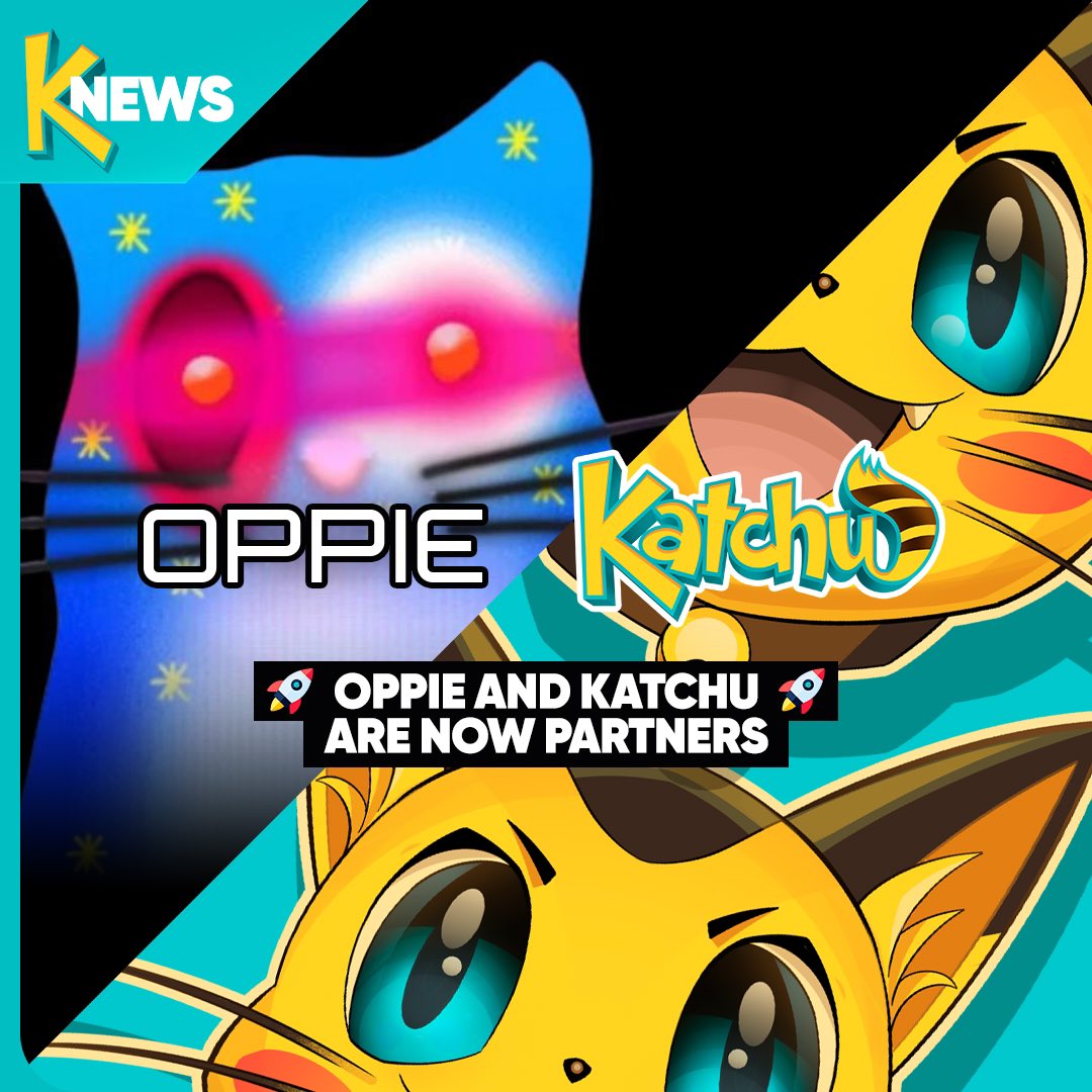 Katchu tweet media