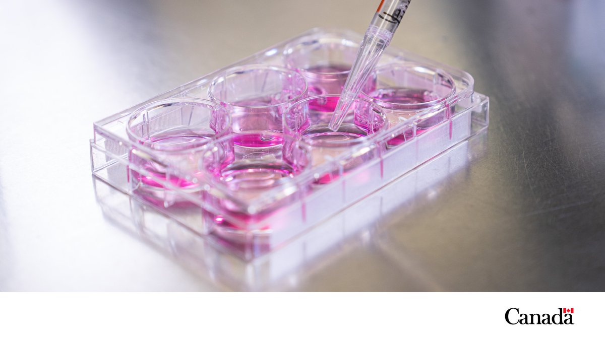 NRC_CNRC's tweet photo. #DYKT? #NRCHealth developed a new lentiviral vector to help advance cancer research! By standardizing how labs measure and compare results, we're speeding up the development of life-saving immunotherapies. Learn more: https://t.co/SsTtbAAutX https://t.co/SyZr2xHvqN