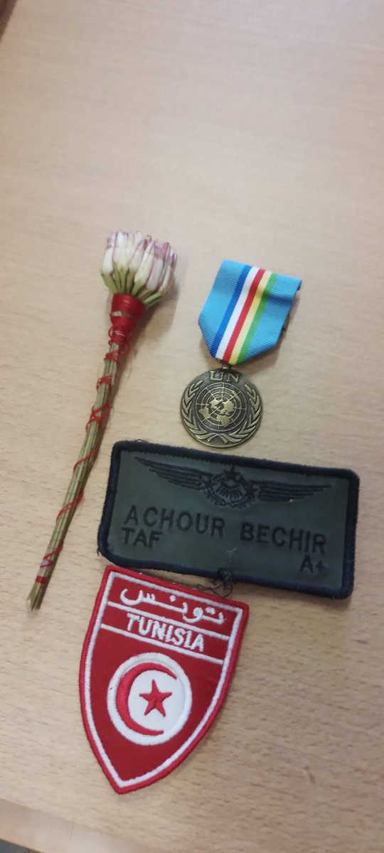 الوسام الأممي بجمهورية افريقيا الوسطى