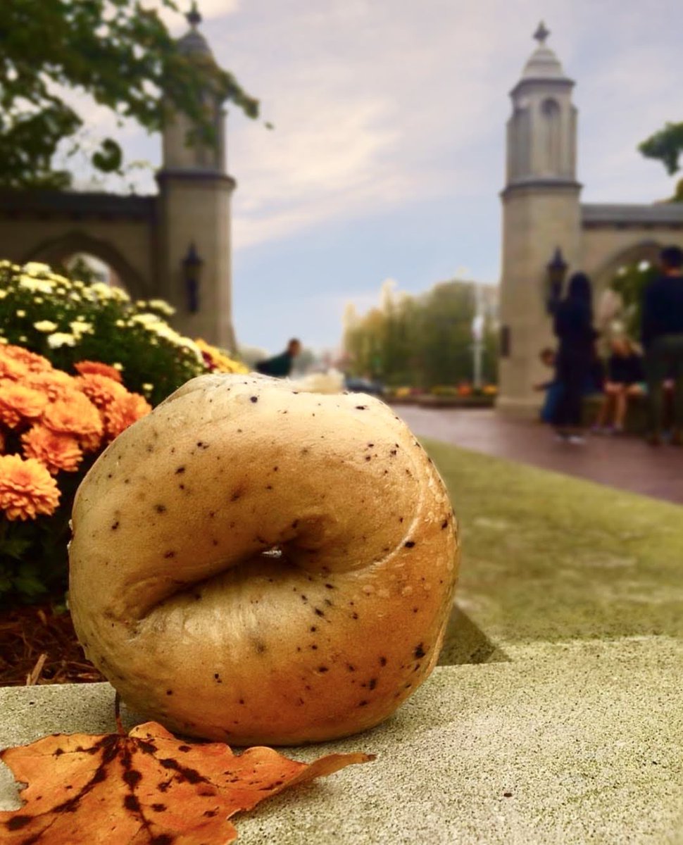 The leaves are changing but we aren’t! 🍂🥯 Come enjoy the same bagel recipe Bloomington’s been enjoying for 28 years, made right here in town every morning! 

…

#bloomingtonbagelcompany #bagels #dailybagels #smallbusiness #food #bloomington #fall #autumn