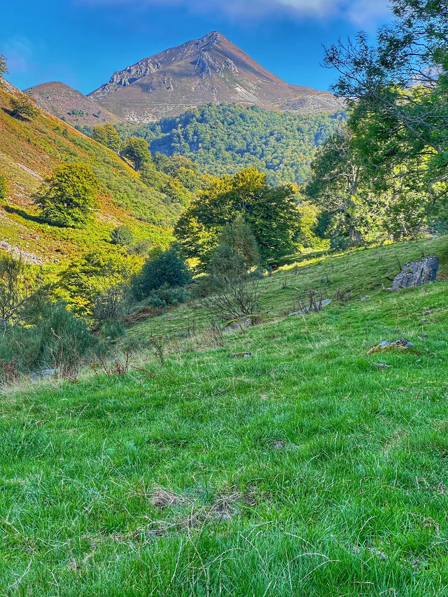 BangoHector's tweet image. Lo bueno de algunos viajes de trabajo es que te permiten escapar cuando acaba la jornada a lugares maravillosos, donde una vez fuiste feliz 
📍Parque Natural de Redes, Asturias
#Autumnvibes