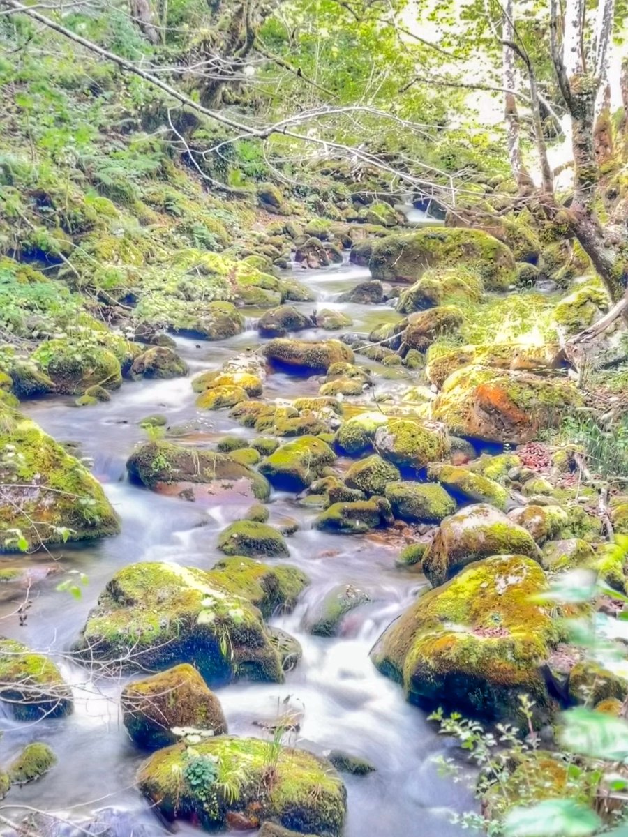 BangoHector's tweet image. Lo bueno de algunos viajes de trabajo es que te permiten escapar cuando acaba la jornada a lugares maravillosos, donde una vez fuiste feliz 
📍Parque Natural de Redes, Asturias
#Autumnvibes