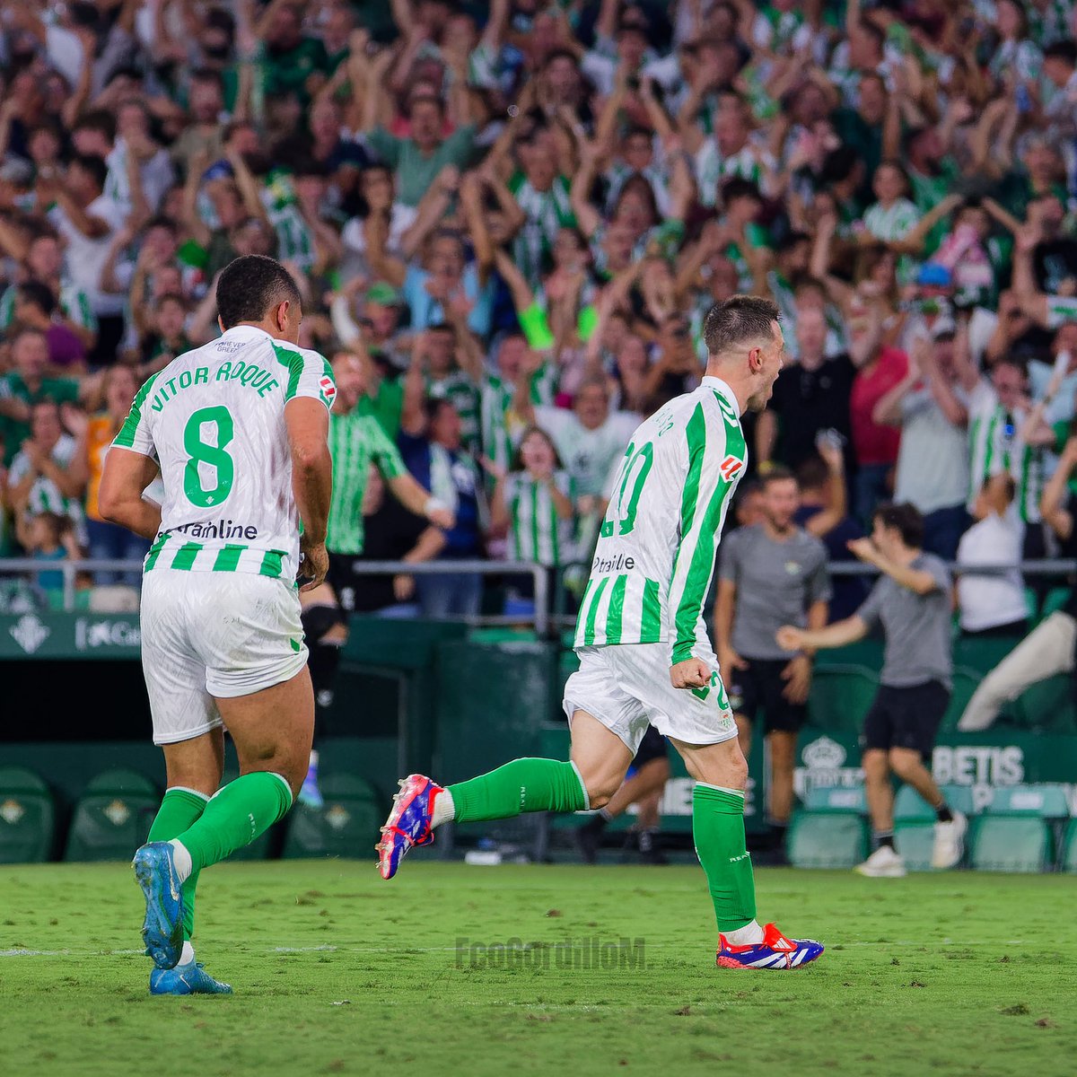 FcoGordilloM.audiovisual tweet media