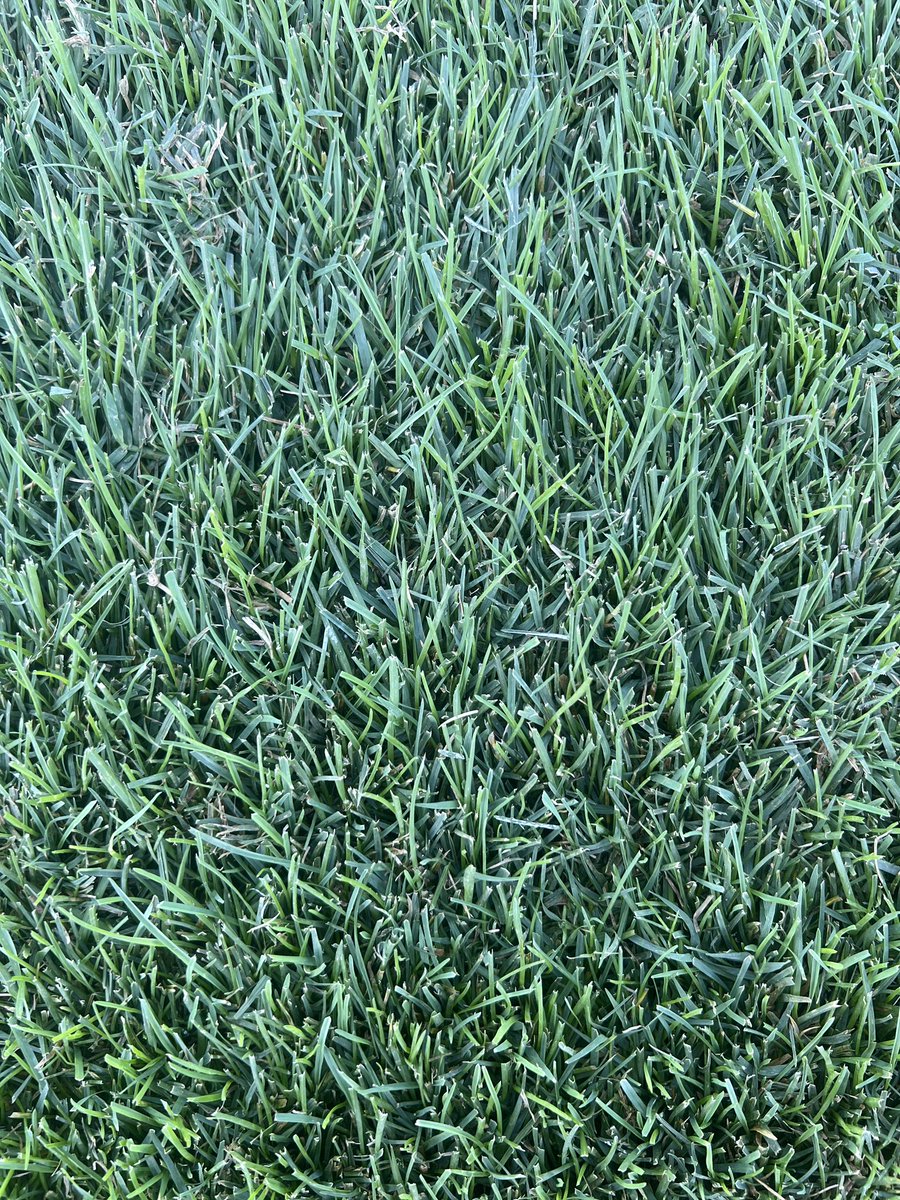 bradycook22's tweet photo. Field looking the best it has all year just in time for conference play https://t.co/sXXPdacREA