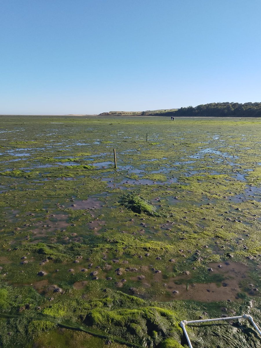 Charlotte Jennings tweet media