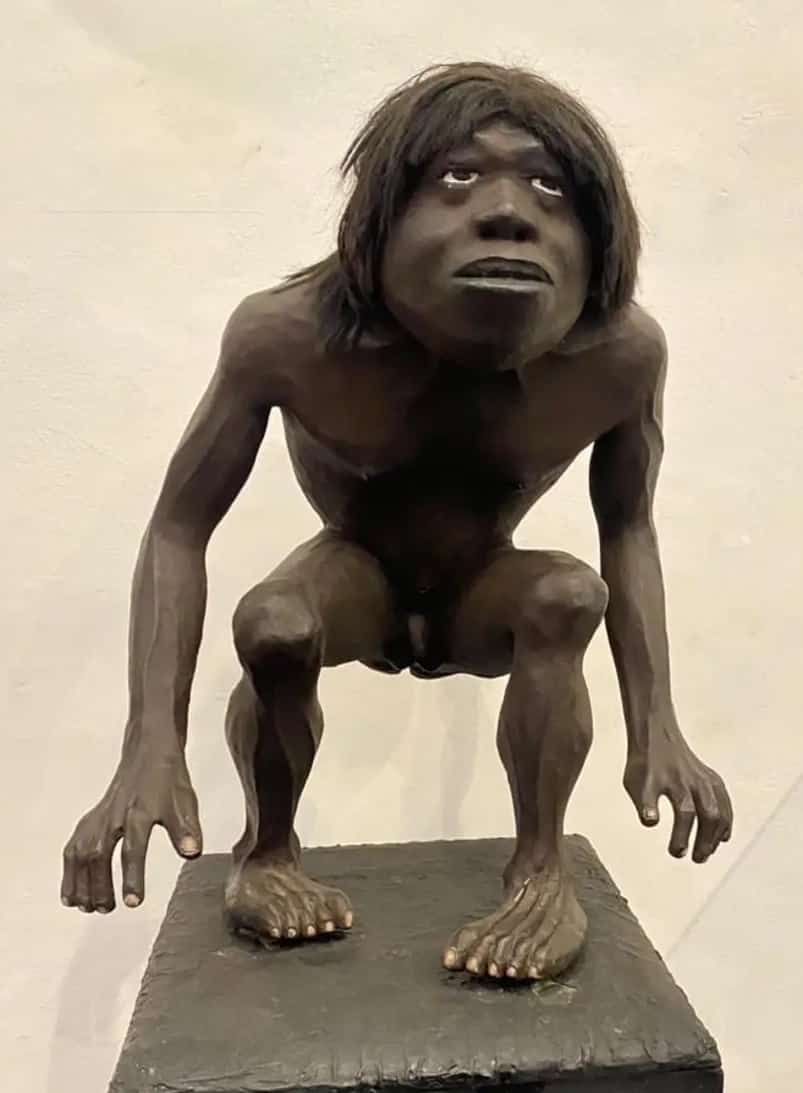 RadioLibrePy's tweet photo. Ni el pombero está a salvo. Roban esculturas del museo de los mitos "Ramón Elias" de Capiatá. Mismo día en que la misma ciudad asesinan a una persona en plena calle y luz del día. La inseguridad es total en el Paraguay que ni los mitos están a salvo. https://t.co/2f4O4JIxFO