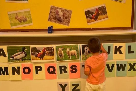 Després d'uns dies parlant sobre els nostres animals de granja preferits, els nens i nenes de MOPI3 han decidit que, com a grup, seran les VAQUES i les CABRES! Visca! #jecasp