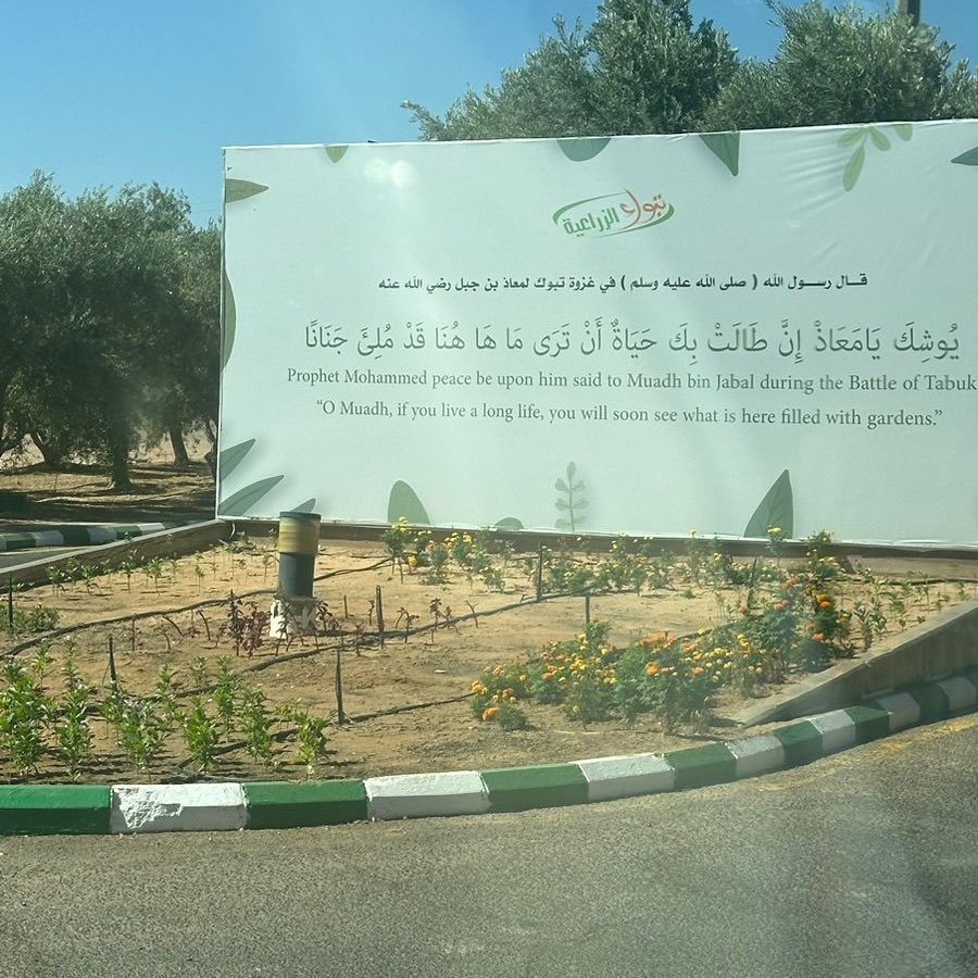12wxn_'s tweet photo. جانب من زيارتنا لتبوك الزراعية " تادكو " ، 
كانت زيارة مثرية ومفيدة من جميع النواحي ، شكراً لمسؤولي تبوك الزراعية على حسن استقبالهم.
شكراً مجتمع تقنية المعلومات 🤩
@ITCommunity_ut @Lubna_989 https://t.co/8f6A8NWuFC