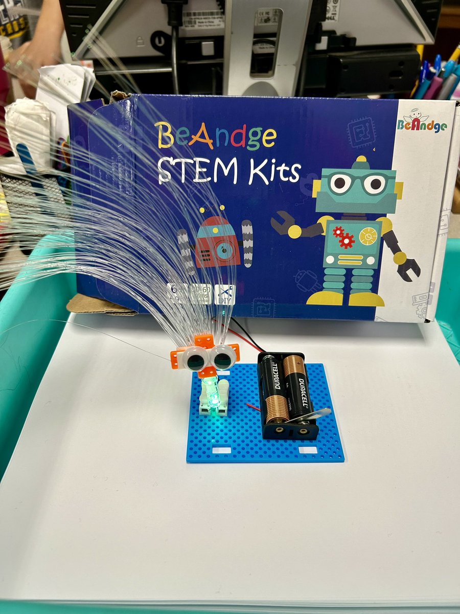 Emily Incledon tweet media