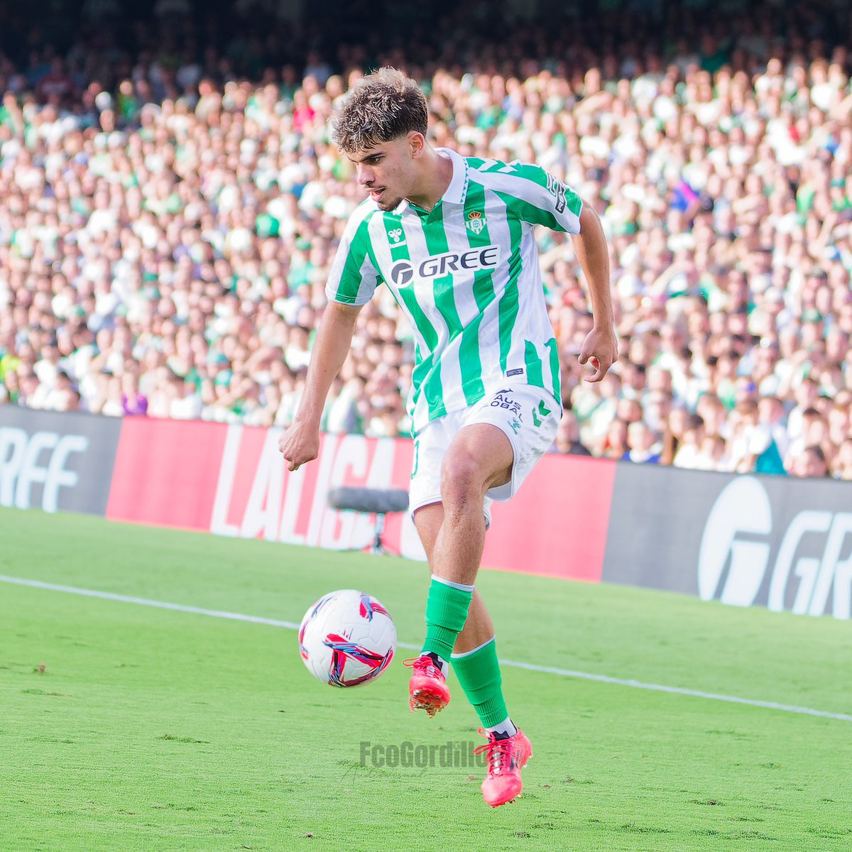 FcoGordilloM.audiovisual tweet media